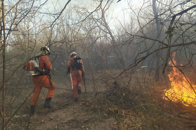 Livramento de Nossa Senhora e Ibicoara têm incêndios florestais extintos