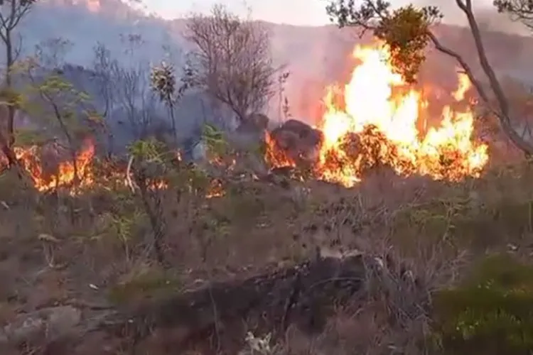 Incêndio atinge área de plantação de café e manga em distrito rural de Rio de Contas