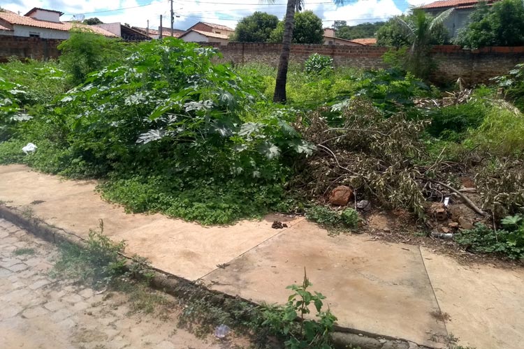 Brumado: Com dezenas de casos de dengue, moradores do São José cobram limpeza de terrenos baldios