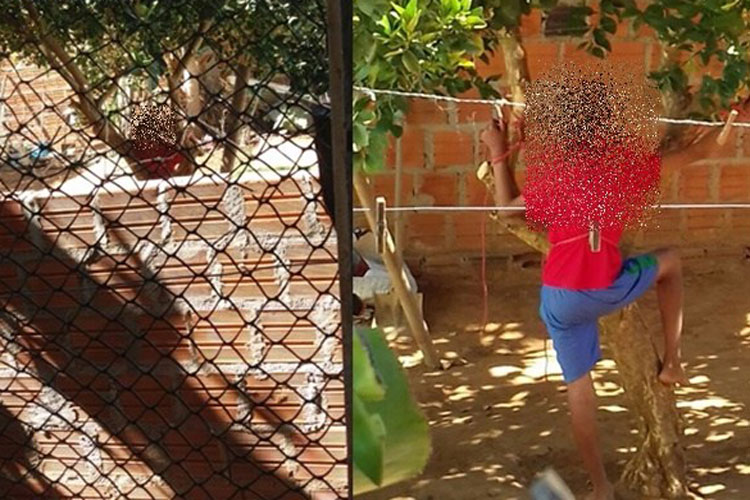 Mulher é detida após amarrar o filho de 12 anos em árvore em Palmas de Monte Alto