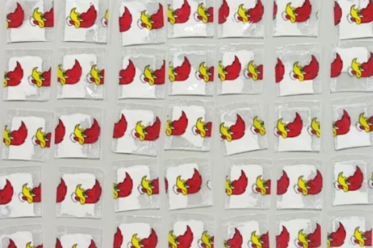 Homem é detido com drogas durante abordagem na zona rural de Macaúbas