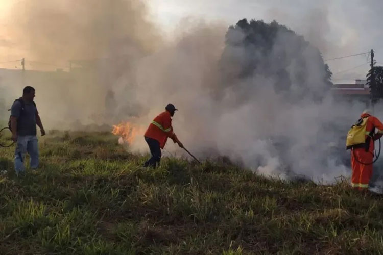 Mais de 1.500 queimadas foram registradas no sudoeste da Bahia este ano