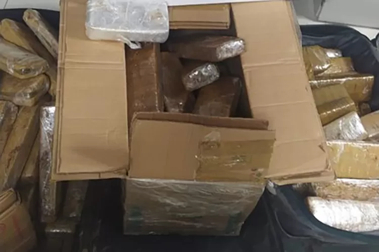 Conquista: PRF apreende 60 kg de maconha e captura foragido usando documento falso