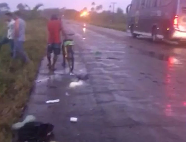 Ônibus atropela e mata três cavalos na Rodovia dos Minérios