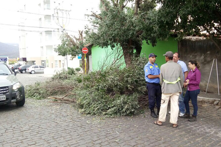 Secretaria de Meio Ambiente e Departamento de Trânsito apuram crime ambiental em Brumado