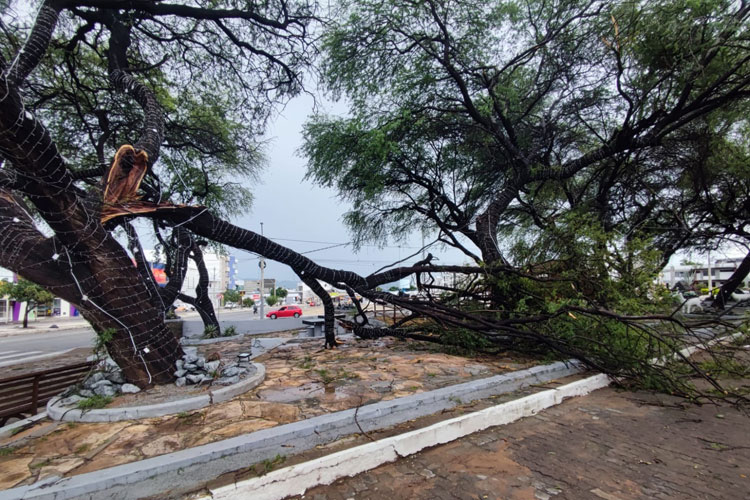 Chuva com fortes ventos causa estragos em Guanambi