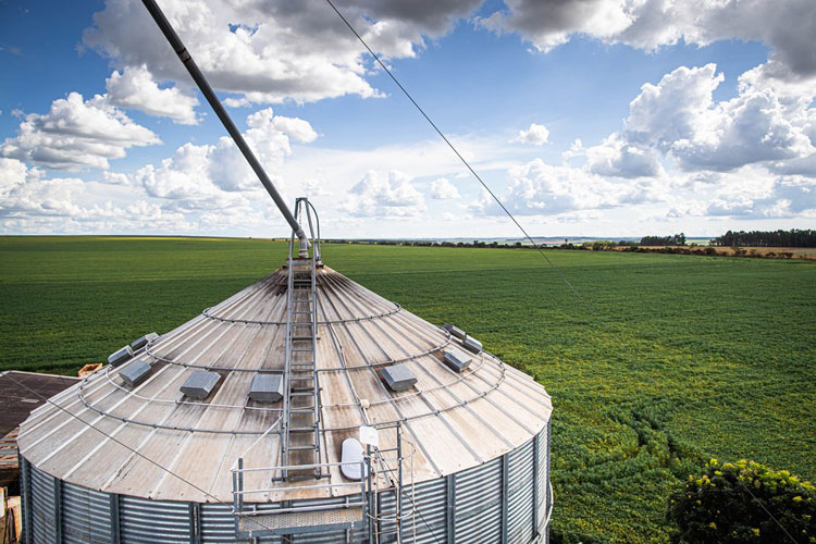 Faturamento agropecuário está previsto em R$ 1 trilhão neste ano, segundo Ministério da Agricultura