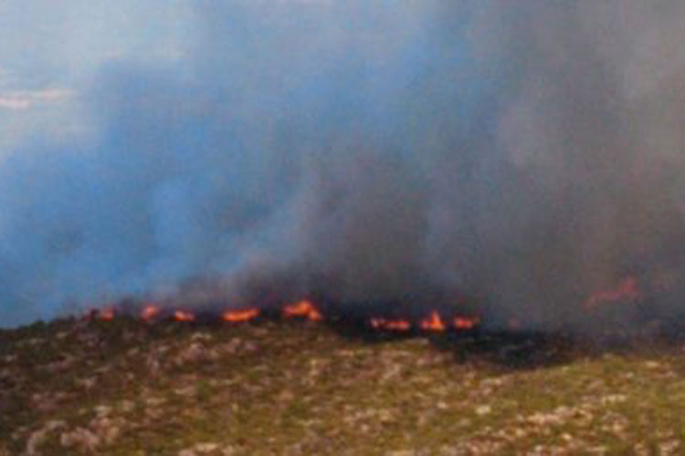 Incêndio de grandes proporções destrói vegetação na cidade de Ituaçu