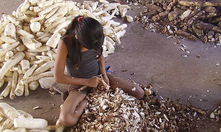 Trabalho infantil atinge 1,8 milhão de menores no Brasil, diz IBGE