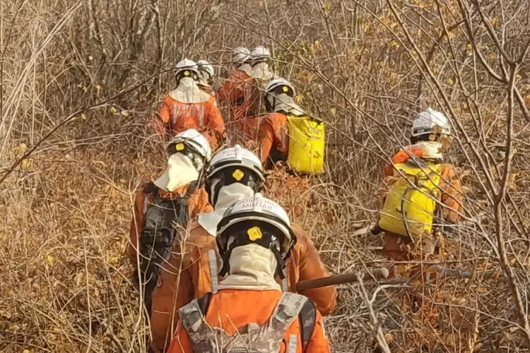 Bombeiros atuam com drones e aviões no combate de incêndios em 16 cidades da Bahia