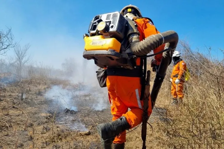 Governo promove iniciativa pioneira para prevenção aos incêndios florestais em Andaraí