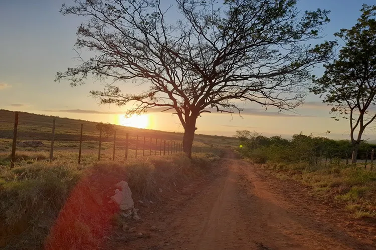 Onda de calor pode provocar umidade de deserto no sudoeste baiano, aponta climatologista