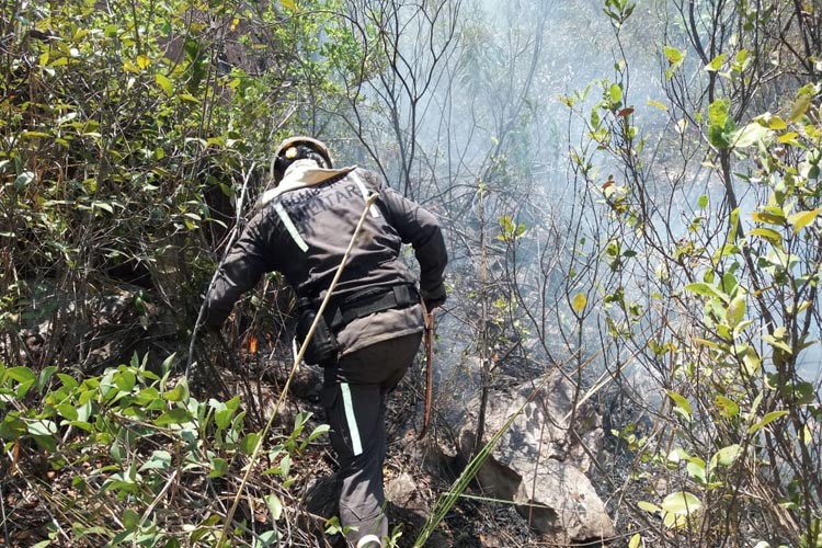 Rio de Contas: Incêndio se alastra e já atinge mais de 1000 hectares na Serra das Almas