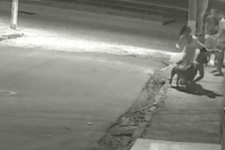 Brumado: Vídeo mostra momento em que pitbull ataca menino de 9 anos no Bairro Santa Tereza