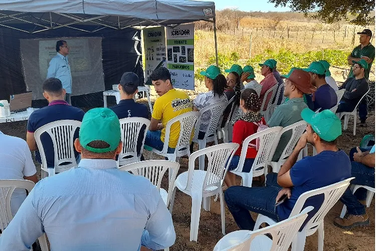 Brumado: Armazém do Criador promove dia de campo na lavoura produtiva de tomate