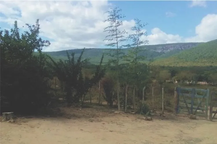 Comunidade rural espera há mais de 20 anos por energia elétrica em Iramaia