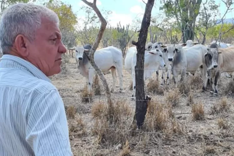 Renomado médico em Brumado se destaca como pecuarista na engorda do zebu