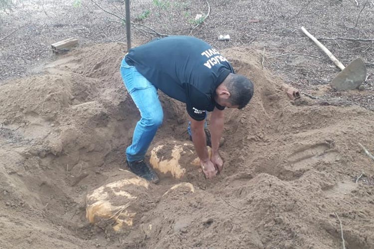 Polícia encontra 100 kg de maconha enterrados em terreno da zona rural de Ipirá