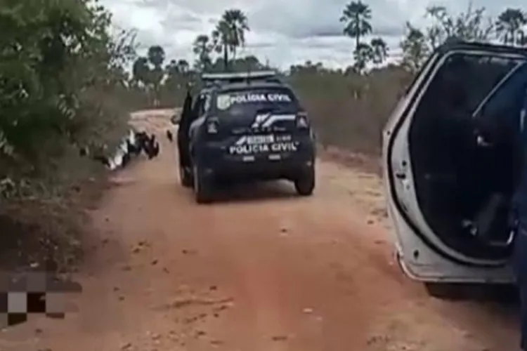Dupla é presa em flagrante por esfaquear cachorro no Ceará