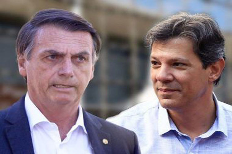 Ibope: Bolsonaro cresce nos votos válidos e chega a 41%; Haddad oscila e fica em 25%