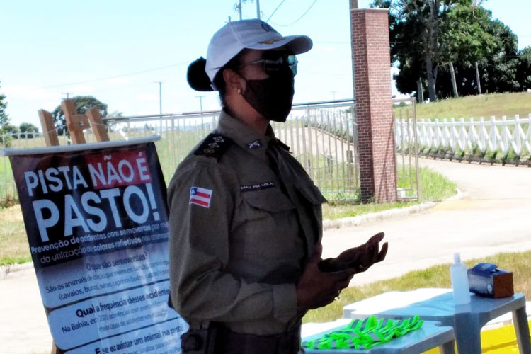 Brumado: Comandante da Polícia Rodoviária Estadual explica objetivo do projeto 'Pista Não é Pasto'