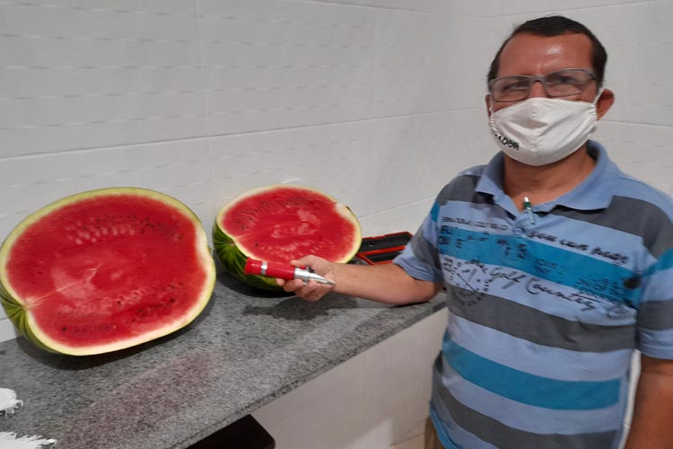 Armazém do Criador mapeia qualidade da melancia produzida na microrregião de Brumado