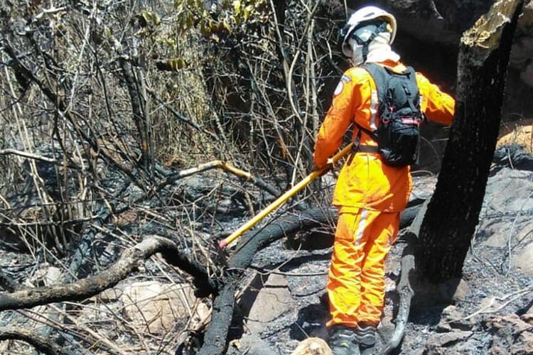 Incêndio atinge área de vegetação na cidade de Érico Cardoso
