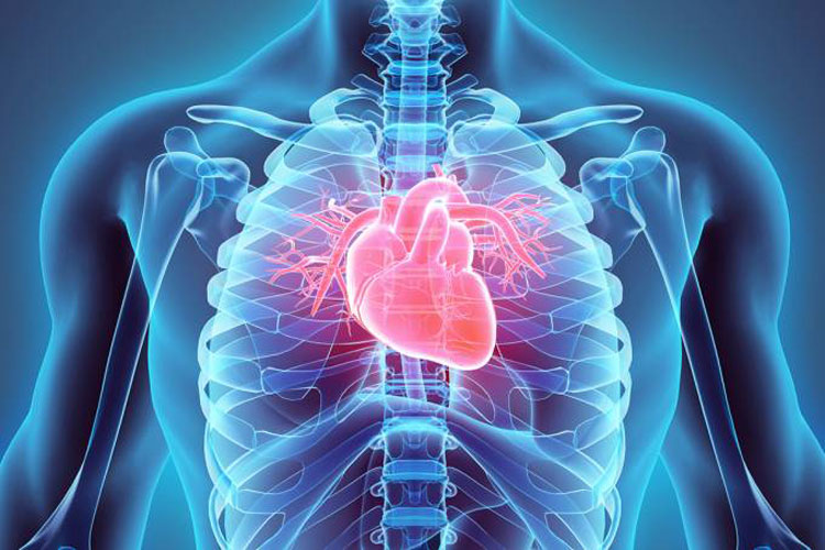 SUS incorpora novo medicamento contra insuficiência cardíaca