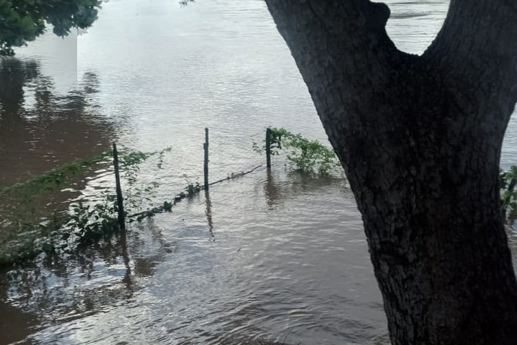 Sobe para 20 número de mortos em decorrência das chuvas na Bahia