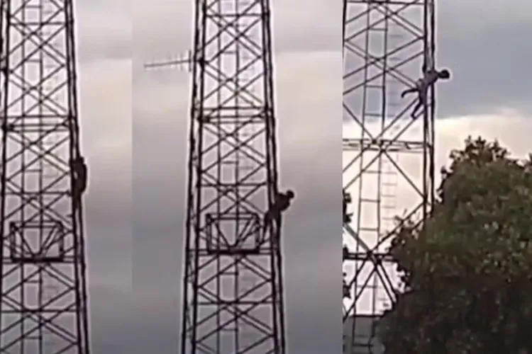 Homem cai de torre telefônica ao ser atacado por abelhas em Maracás