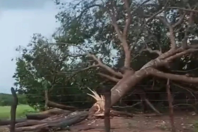 Chuva de granizo e vento atinge região rural do Araças em Macaúbas