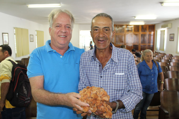 Algodão colorido começa a ser cultivado em Brumado; primeira colheita anima produtor