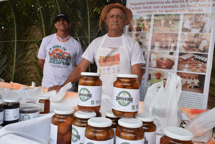 Fora dos programas de alimentação escolar, usina de frutas de Brumado pode encerrar atividades