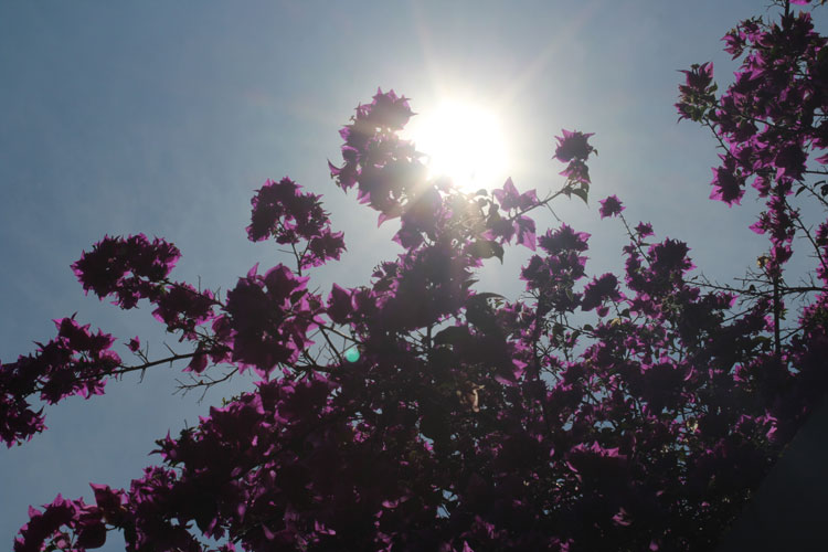 Primavera quente com calor de 41°C em Brumado