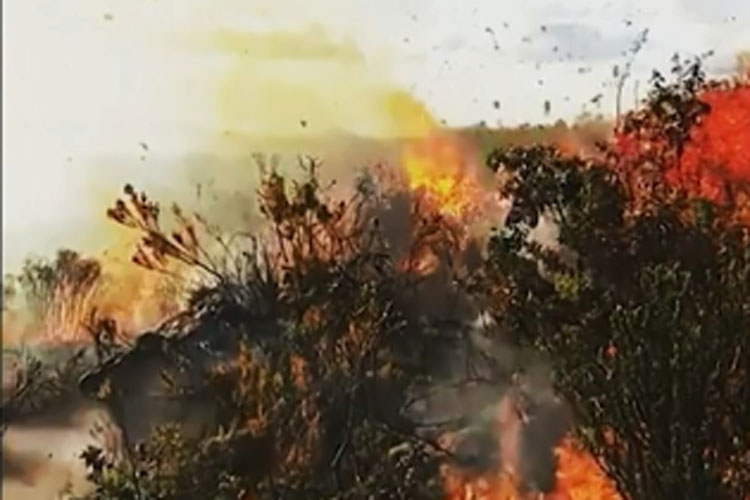 Incêndio atinge a Serra da Tromba na Chapada Diamantina