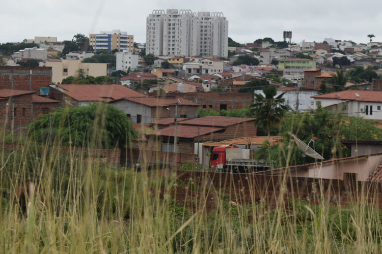 Chuvas de verão ajudam a recuperar produção do leite na região de Brumado