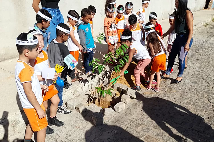 Brumado: Escola Émerson Kawã inicia mês do meio ambiente com plantio de árvores