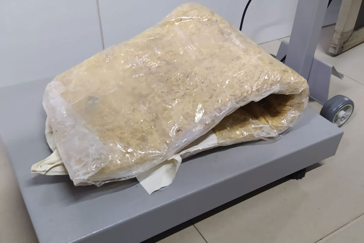 Passageira de ônibus é flagrada com 5 kg de cocaína escondidos em cinta em Barreiras