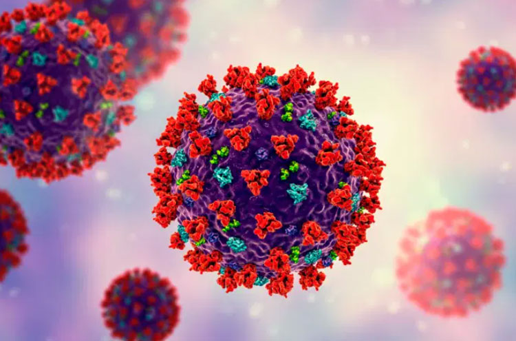 Brasil já tem mais de cem linhagens do novo coronavírus em circulação