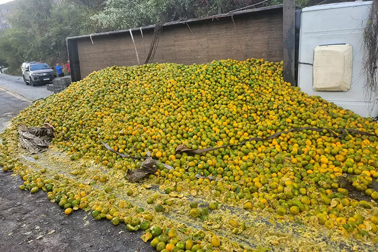 Caminhão tomba na BA-148 no trecho da Serra das Almas em Rio de Contas