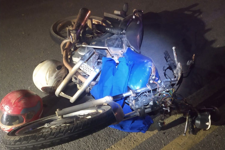 Motociclista atropela animal na BA-142 em Tanhaçu
