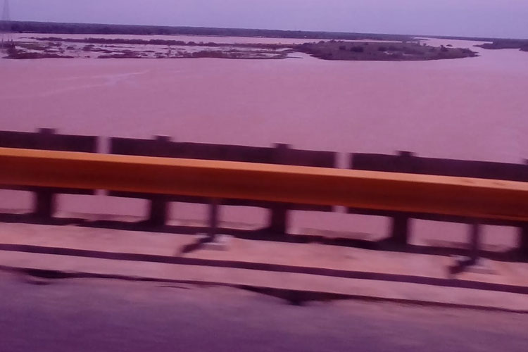 Boas chuvas recuperam volume dos rios no oeste baiano