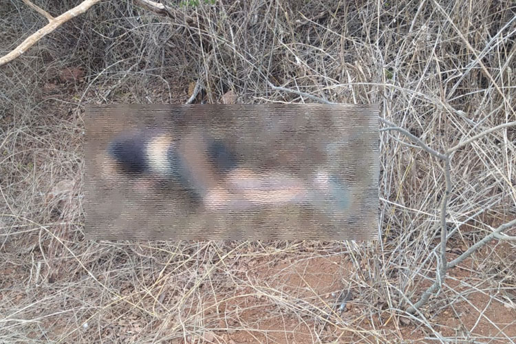 Licínio de Almeida: Jovem é encontrado morto com três perfurações de arma de fogo na cabeça