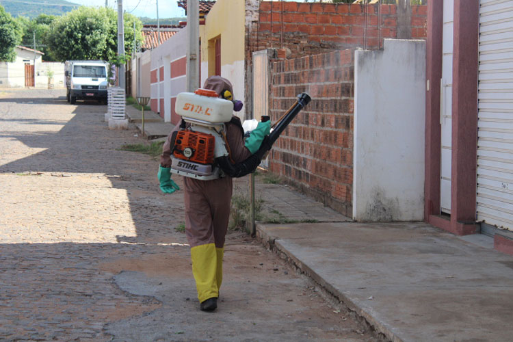 Com índice elevado do aedes-aegypti, Brumado caminha para um surto de arboviroses