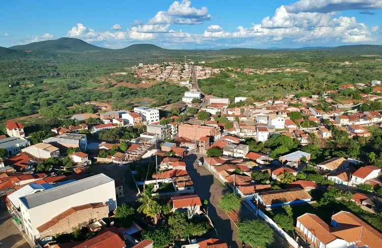 Justiça determina recomposição de vegetação em fazenda no município de Tremedal