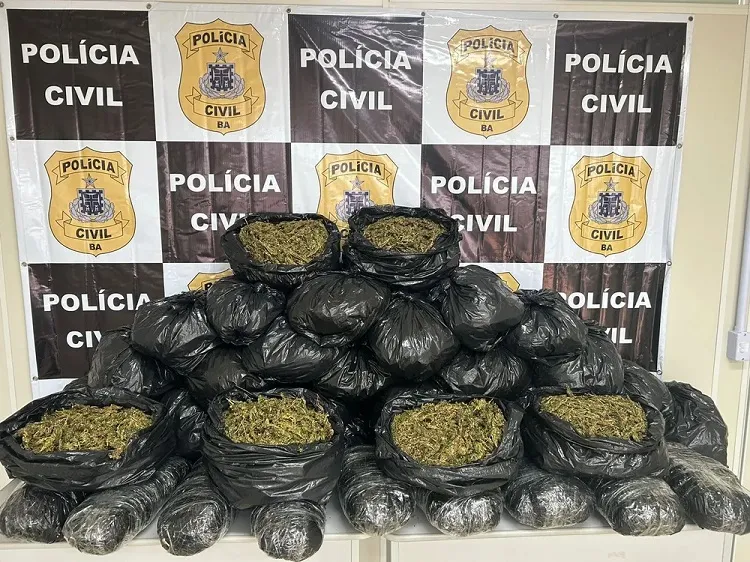 Polícia Civil apreende mais de 40 kg de maconha em casa de Salvador
