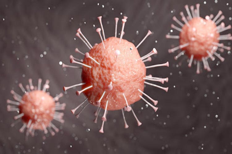 Brumado: Clínicas particulares deverão fazer atendimento pela telemedicina no combate ao coronavírus