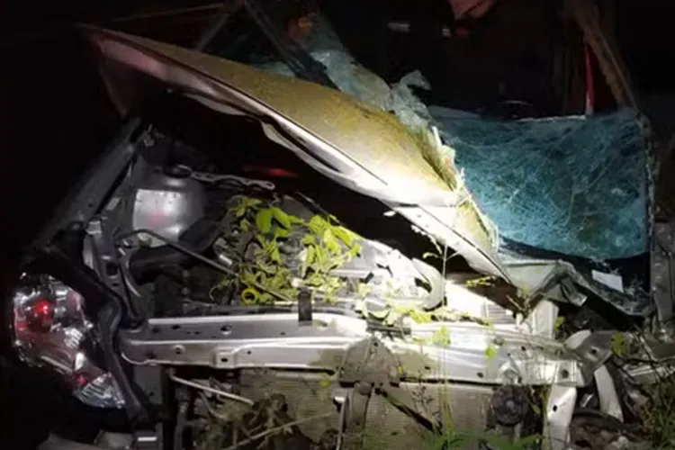 Médica morre após carro colidir com cavalo na BR-407 em Jacobina