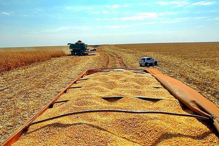 Exportação de grãos não deverá ser afetada pelo novo coronavírus