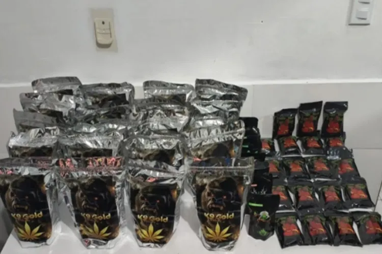 2ª CIPRv apreende 13,6 kg  de maconha sintética e haxixe na BA-026 em Tanhaçu